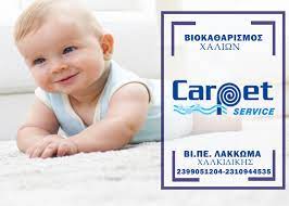 ΚΑΘΑΡΙΣΜΟΣ ΦΥΛΑΞΗ ΧΑΛΙΩΝ CARPET SERVICE ΛΑΚΚΩΜΑ ΧΑΛΚΙΔΙΚΗ ΣΑΡΒΑΝΙΔΗΣ ΛΕΩΝΙΔΑΣ