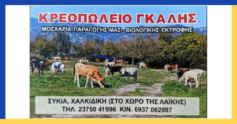 ΚΡΕΟΠΩΛΕΙΟ ΒΙΟΛΟΓΙΚΑ ΚΡΕΑΤΑ ΓΚΑΛΗΣ ΝΙΚΟΛΑΟΣ ΣΥΚΙΑ ΧΑΛΚΙΔΙΚΗ