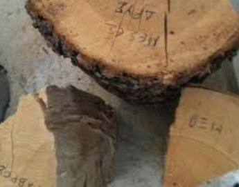 ΚΑΥΣΟΞΥΛΑ PELLET ΚΑΡΒΟΥΝΑ ΕΙΔΗ ΘΕΡΜΑΝΣΗΣ ΞΥΛΟΔΥΝΑΜΙΚΗ ΟΕ ΤΑΓΑΡΑΔΕΣ ΚΑΛΑΜΑΡΙΑ ΘΕΣΣΑΛΟΝΙΚΗ